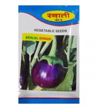 Brinjal Dhwani